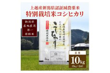 米 お米 数量限定 令和5年産 新潟県上越市吉川区国田産 新潟県認証米/特別栽培米コシヒカリ玄米10kg 5kg×2