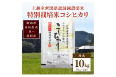米 お米 数量限定 令和5年産 新潟県上越市吉川区国田産 新潟県認証米/特別栽培米コシヒカリ精米10kg 5kg×2