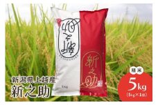 米 お米 令和6年 新潟県上越産 新潟ブランド米 新之助 精米5kg こめ 認証米 特別栽培 新潟 新潟県産