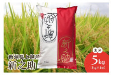 米 お米 令和6年 新潟県上越産 新潟ブランド米 新之助 玄米5kg こめ ブランド米 新潟 新潟県産