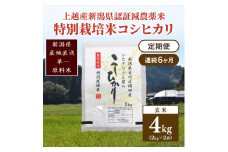 定期便 6ヶ月 新潟県認証減農薬米 特別栽培米 コシヒカリ 玄米 4kg (2kg×2袋) 米 お米 こめ こしひかり