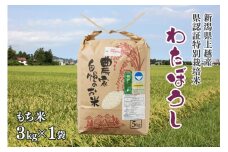 令和5年産／上越産 新潟県奨励品種「新潟県認証特別栽培米・もち米／わたぼうし」精米 3kg ワタボウシ 新潟