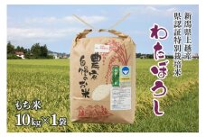 令和5年産／上越産 新潟県奨励品種「新潟県認証特別栽培米・もち米／わたぼうし」精米 10kg 特別栽培 新潟