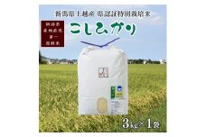 令和5年産／新潟県上越産 人気のお米「新潟県認証特別栽培米コシヒカリ」精米 3kg こしひかり おすすめ