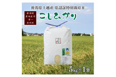 令和5年産／新潟県上越産 人気のお米「新潟県認証特別栽培米コシヒカリ」精米 5kg こしひかり おすすめ