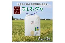 令和5年産／新潟県上越産 人気のお米「新潟県認証特別栽培米コシヒカリ」精米 10kg（5kg×2袋） こしひかり