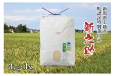 令和5年産／新潟県上越産ブランド米「新潟県認証特別栽培米・新之助」精米 3kg｜しんのすけ 特別栽培 新潟