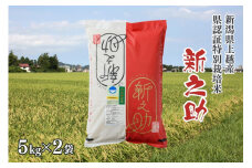 令和5年産／新潟県上越産ブランド米「新潟県認証特別栽培米・新之助」精米 10kg（5kg×2袋） しんのすけ