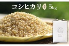 玄米5kg【雪室熟成】令和6年度産 / 雪国棚田米（コシヒカリ）～栽培期間中農薬・化学肥料不使用～［里山ボタニカル］