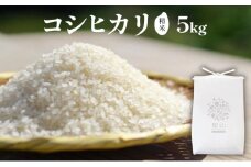 白米5kg【雪室熟成】令和6年度産 / 雪国棚田米（コシヒカリ）～栽培期間中農薬・化学肥料不使用～［里山ボタニカル］