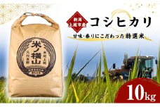 コシヒカリ 【令和5年産】 新潟上越市産コシヒカリ 10kg こしひかり 米 お米 こめ おすすめ ふるさと納税 新潟 新潟県産 にいがた 上越 上越産