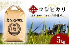 コシヒカリ 【令和5年産】 新潟上越市産コシヒカリ 5kg こしひかり 米 お米 こめ おすすめ ふるさと納税 新潟 新潟県産 にいがた 上越 上越産