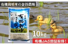新潟県産JAS有機栽培米コシヒカリ 玄米10kg｜こしひかり コシヒカリ 米 お米 こめ おすすめ 人気 ふるさと納税 有機栽培 新潟 新潟県産 にいがた 上越 上越産