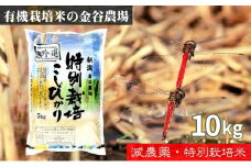 新潟県産特別栽培米コシヒカリ 白米10kg｜こしひかり コシヒカリ 米 お米 こめ おすすめ 人気 ふるさと納税 新潟 新潟県産 にいがた 上越 上越産
