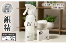 銀イオン除菌消臭剤【銀精】スプレータイプ300ml・ゲルタイプ120gお試し2点セット 無香料 ノンアルコール