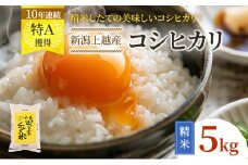 令和7年産 先行予約 新潟上越産コシヒカリ 5kg｜コシヒカリ 米 こしひかり こめ おすすめ 新潟 新潟県産 にいがた 上越 上越産