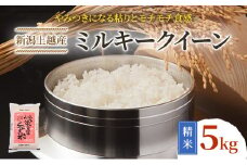 令和7年産 先行予約 新潟上越産ミルキークイーン 5kg｜ミルキークイーン 米 こしひかり こめ おすすめ 新潟 新潟県産 にいがた 上越 上越産