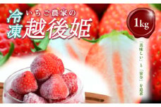 いちご 冷凍いちご 越後姫 1kg 冷凍 イチゴ 苺 果物 フルーツ 新潟