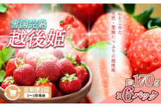 定期便 3回【1～3月発送】雪国完熟いちご越後姫 170g×6全3回 定期配送 越後姫 いちご 定期便 完熟 苺 新潟