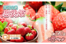 定期便 3回【3～5月発送】雪国完熟いちご越後姫 170g×6全3回 定期配送 越後姫 いちご 定期便 完熟 苺 新潟