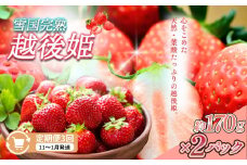 定期便 3回【11～1月発送】いちごの定期配送 雪国完熟いちご越後姫170g×2全3回 越後姫 いちご 定期便 完熟