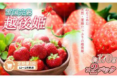 定期便 3回【12～2月発送】いちごの定期配送 雪国完熟いちご越後姫170g×2全3回 越後姫 いちご 定期便 完熟
