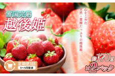 定期便 3回【3～5月発送】雪国完熟いちご越後姫 170g×2全3回 定期配送 越後姫 いちご 定期便 完熟 苺 新潟