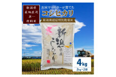 米 お米マイスターが育てた特別栽培米 コシヒカリ 上越頸城産 令和5年産 4kg(2kg×2袋)白米 お米 こめ 食品