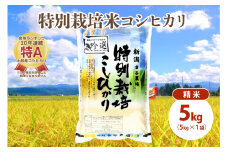 米 令和5年産|新潟上越三和産|特別栽培米コシヒカリ(従来種)5kg(5kg×1)精米 お米 こめ 白米 こしひかり