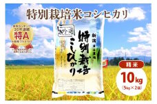米 令和5年産|新潟上越三和産|特別栽培米コシヒカリ(従来種)10kg(5kg×2)精米 お米 こめ 白米 こしひかり