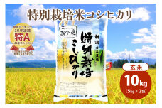 米 令和5年産|新潟上越三和産|特別栽培米コシヒカリ(従来種)10kg(5kg×2)玄米 お米 こめ こしひかり 上越