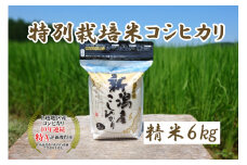 米 令和5年産 新潟上越三和産 特別栽培米コシヒカリ6kg 精米 こしひかり コシヒカリ お米 こめ 新潟 新潟産