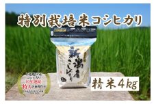米 令和5年産 新潟上越三和産 特別栽培米コシヒカリ4kg 精米 こしひかり コシヒカリ お米 こめ 新潟 新潟産