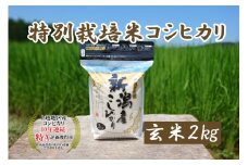 米 令和5年産 新潟上越三和産 特別栽培米コシヒカリ2kg 玄米 こしひかり コシヒカリ お米 こめ 新潟 新潟産