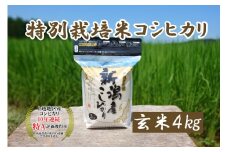 米 令和5年産 新潟上越三和産 特別栽培米コシヒカリ4kg 玄米 こしひかり コシヒカリ お米 こめ 新潟 新潟産