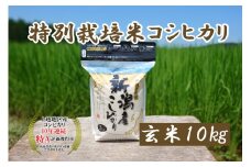 米 令和5年産 新潟上越三和産 特別栽培米コシヒカリ10kg 玄米 こしひかり コシヒカリ お米 新潟 新潟産