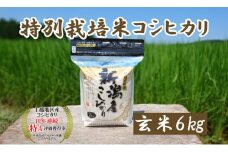 米 令和5年産 新潟上越三和産 特別栽培米コシヒカリ6kg 玄米 こしひかり コシヒカリ お米 こめ 新潟 新潟産