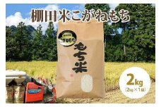 極少量米:数量限定令和5年産精米/新潟県上越市大島区産棚田米こがねもち 2kg(2kg×1)もち米 もち 米 こめ