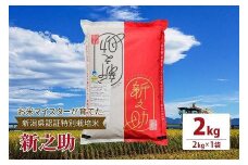 令和5年産お米マイスターが育てた新潟県認証特別栽培米「新之助」上越頸城産 2kg(2kg×1) お米 こめ 上越