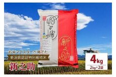 令和5年産お米マイスターが育てた新潟県認証特別栽培米「新之助」上越頸城産 4kg(2kg×2) お米 こめ上越