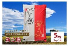 令和5年産お米マイスターが育てた新潟県認証特別栽培米「新之助」上越頸城産 5kg(5kg×1) お米 こめ上越
