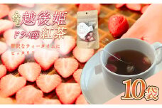 紅茶 ふわっと越後姫とふわっとドライ苺紅茶 各10袋セット 上越市 新潟 茶 苺