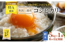 令和7年産 先行予約 新潟 コシヒカリ 定期便 新米 【6ヶ月連続お届け】5kg×6回 30kg 6か月 上越市 米 新潟県 こしひかり おすすめ 限定
