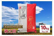 令和5年産お米マイスターが育てた新潟県認証特別栽培米「新之助」上越頸城産 10kg(5kg×2) 精米 お米 上越