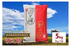 令和5年産お米マイスターが育てた新潟県認証特別栽培米「新之助」上越頸城産 5kg(5kg×1) 精米 お米 上越