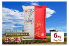 令和5年産お米マイスターが育てた新潟県認証特別栽培米「新之助」上越頸城産 6kg(2kg×3) 精米 お米 上越
