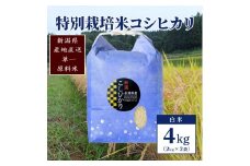 【50セット限定】令和5年産 新潟上越清里産 特別栽培米コシヒカリ4kg(2kg×2袋)白米 こしひかり お米 上越