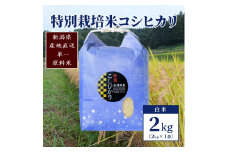 【50セット限定】令和5年産 新潟上越清里産 特別栽培米コシヒカリ2kg(2kg×1袋)白米 こしひかり お米 上越