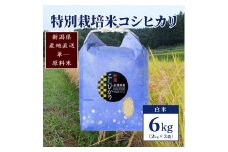 【50セット限定】令和5年産 新潟上越清里産 特別栽培米コシヒカリ6kg(2kg×3袋)白米 こしひかり お米 上越