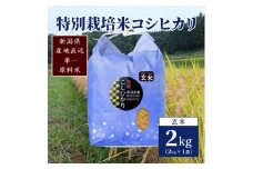 【50セット限定】令和5年産 新潟上越清里産 特別栽培米コシヒカリ2kg(2kg×1袋)玄米 こしひかり 米 上越産